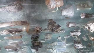 Museo Aci Castello